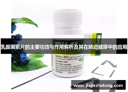 乳酸菌素片的主要功效与作用解析及其在肠道健康中的应用